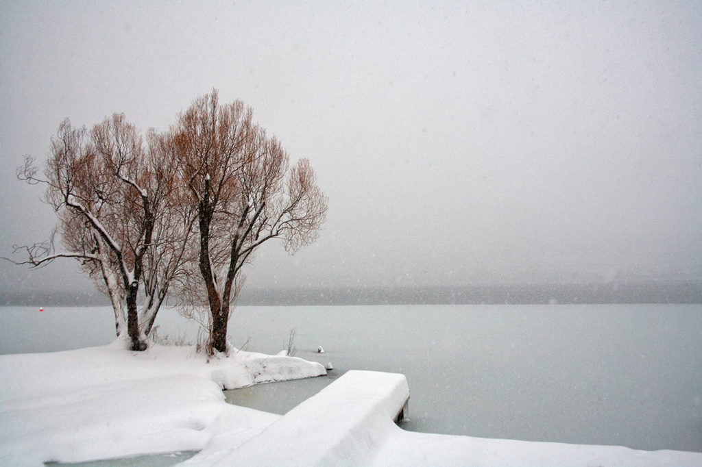 2 trees beside a frozen winter lake in western Canada